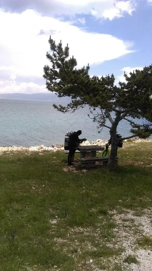 Apartment Tihana Ravni 0*,  Croatia